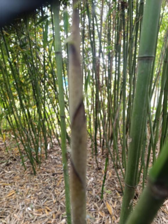 IMG 20260507 164619
