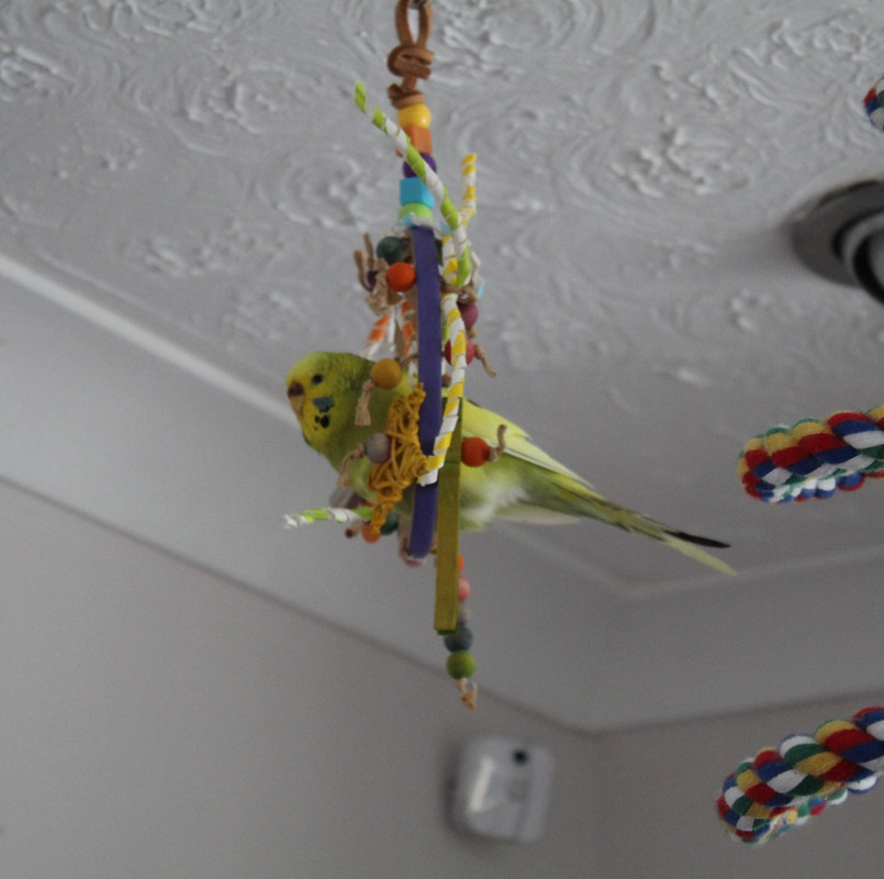 20230816151038 img 0821 — Postimages