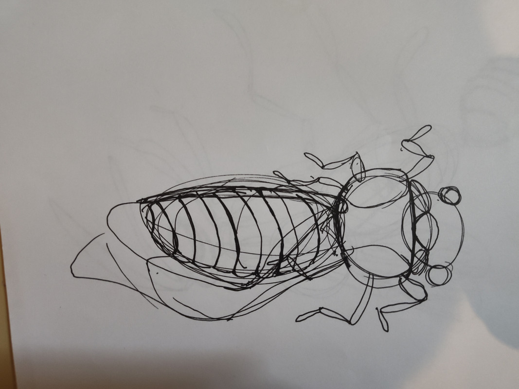 IMG_20240228_132229091