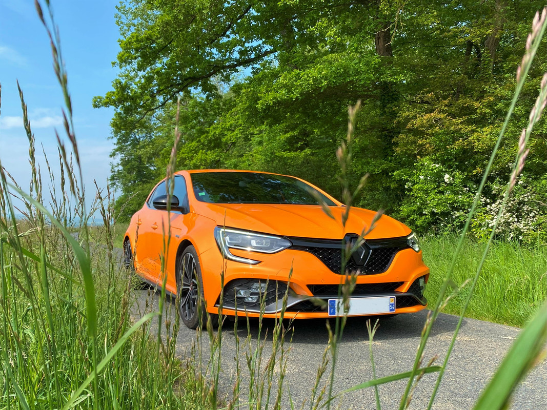 IMG_2762 (2) - Copie