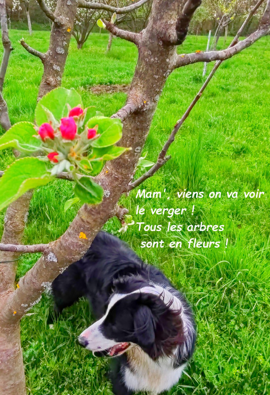 IMG 20260413 191055bb