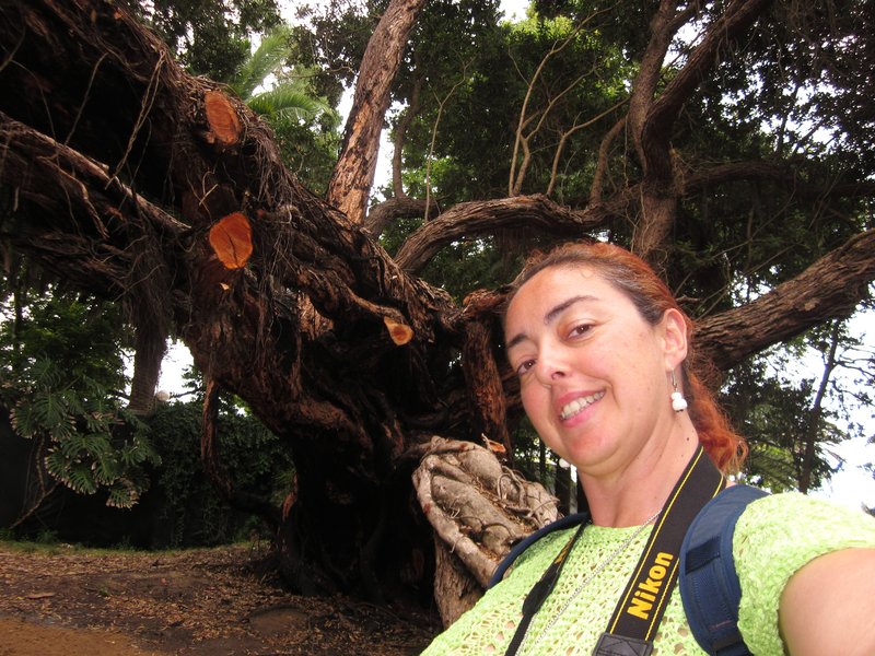 JARDIN BOTANICO JOSE DO CANTO-9-7-2014 - Portugal y sus pueblos-1996/2024 (41)