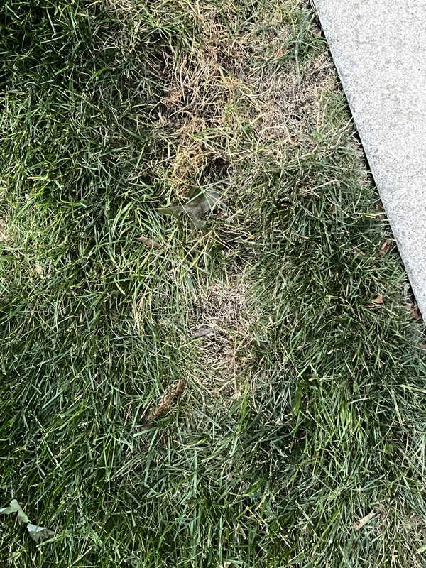 75F19519-BDE7-41D9-B7D4-CE12C062D211