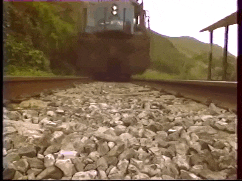 https://i.postimg.cc/y8MC63Z5/6.gif