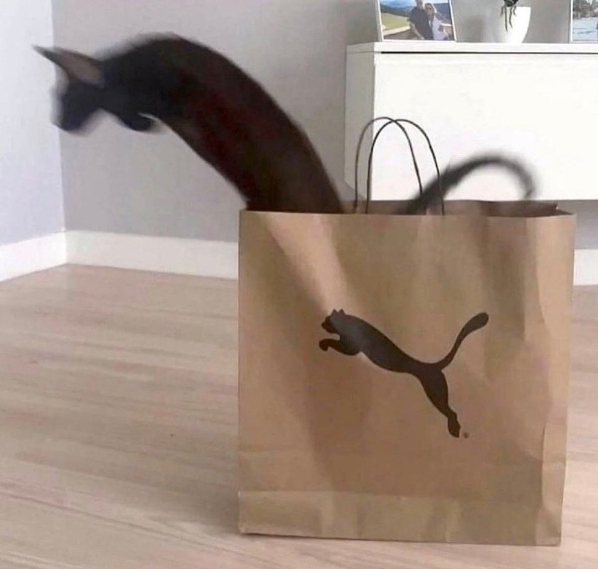 FvTaaNGX0AICEpb