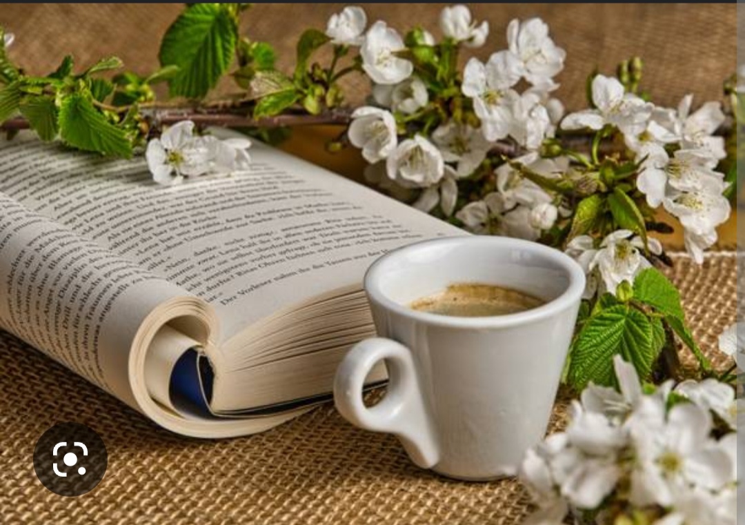 Screenshot_20221124-084043_Chrome