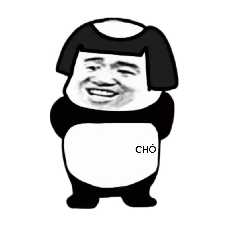Cu Gấu Vàng