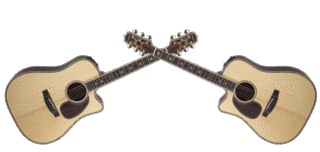 Takamine-Twin-Guitars