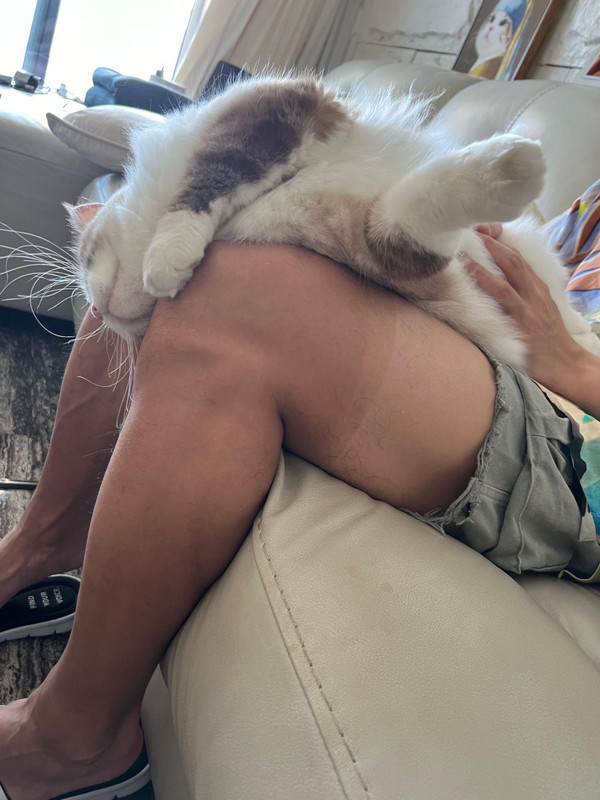 okb1XAAdnAA1T3fVC3FEgVD1AFA9rUAIECf1Dd~tplv-dy-aweme-images-v2_3000_3000_q75