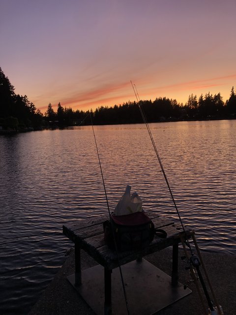 IMG-8991.jpg