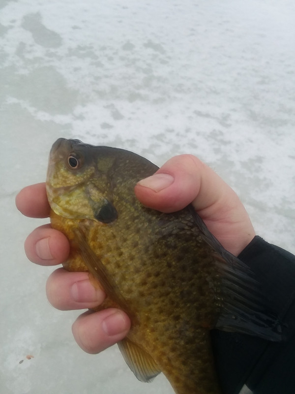 20190123_094312