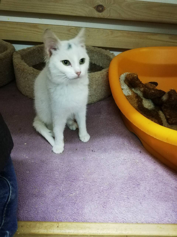 6D02C9F2-8421-4E43-9CB4-0F714DC21288