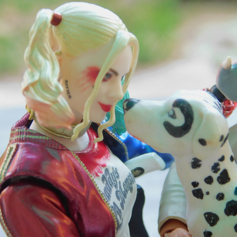 Дачно-Харлинский июнь-июль 2024 284