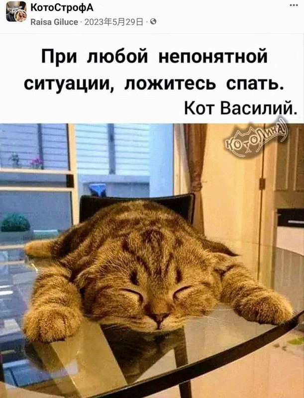 fc27973c1f2ece2d0874d2db1f01d4a2