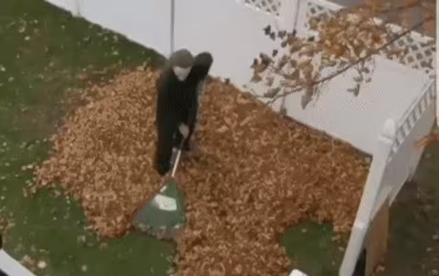 micheal myers gif