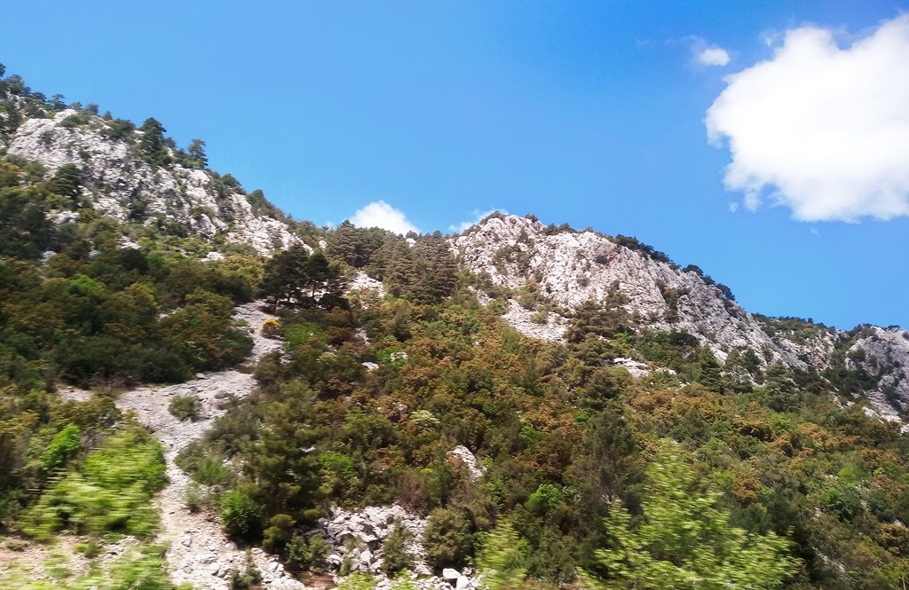 Аланья, Конья и крепость Мамуре