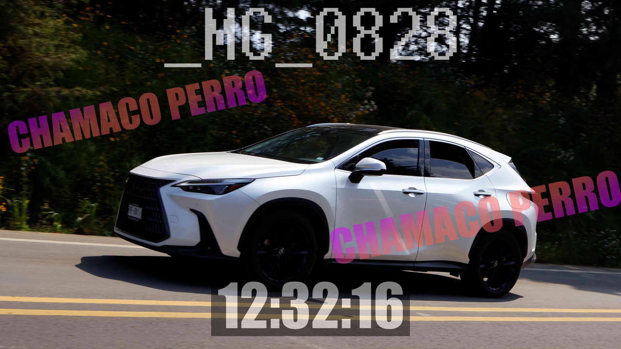 MUESTRA MG 0828 — Postimages
