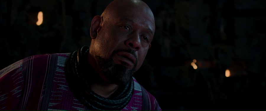 Black Panther 2018 BluRay [Hindi + Tamil + Telugu] 480p, 720p, 1080p ESub Screenshot