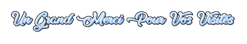 Un-Grand-Merci-Pour-Vos-Visite-trans_plutot_bien