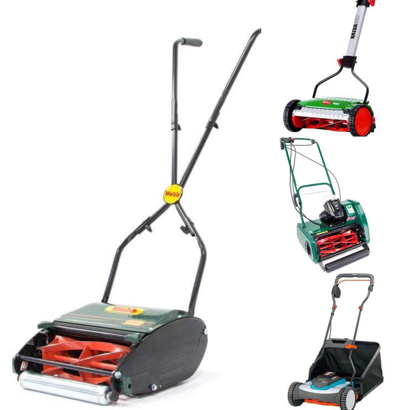 31944855_10156220193322604_727439298118287360_n