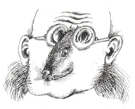 55