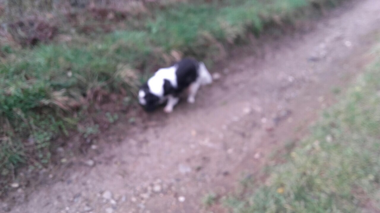 E1494776-6F34-4B29-838D-80ABEE48A763