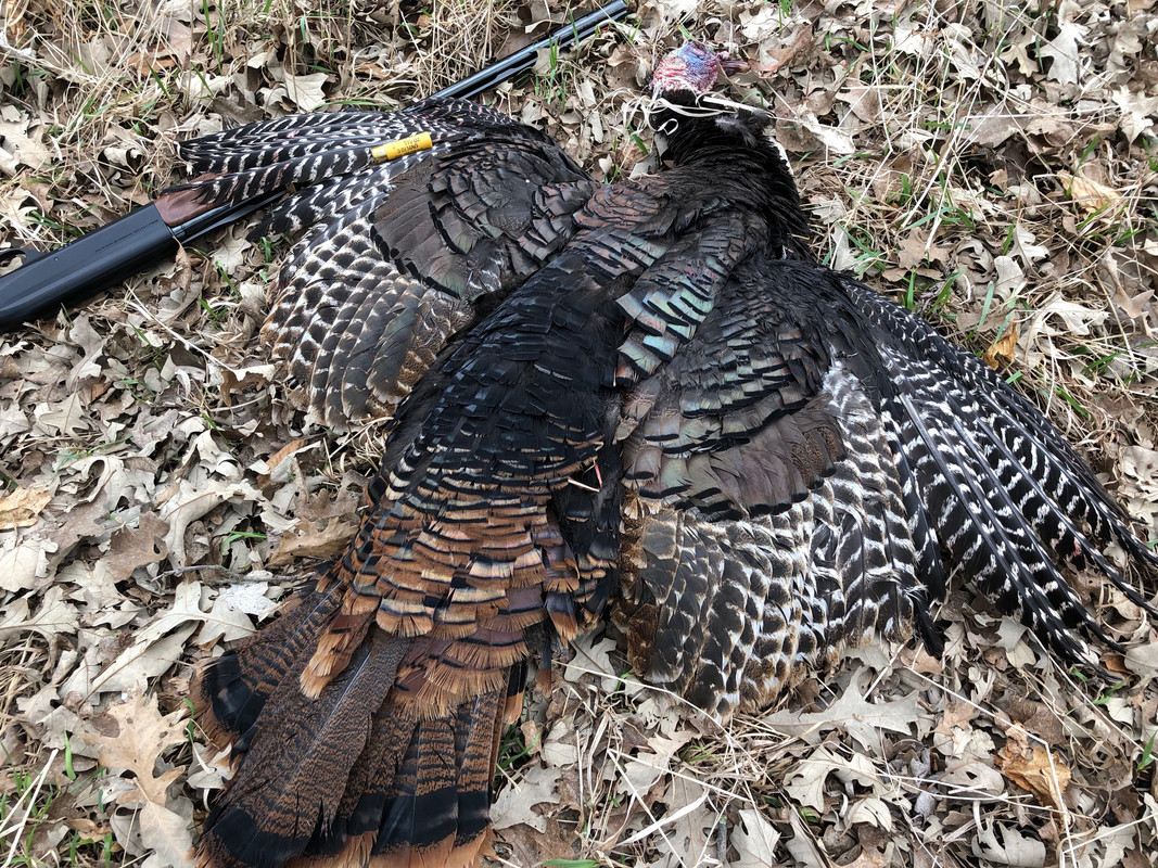 1C667E2B-0E10-4769-9EBD-70E982DF3057