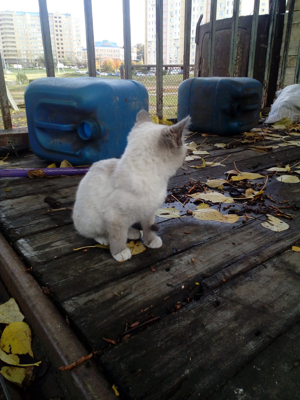 IMG_20181008_122051_1CS