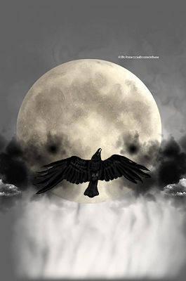 Crow moon Wiccan blank book of shadows