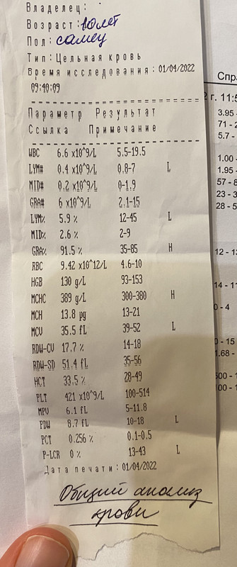 A06BAE50-8AC1-4972-9C99-509ADD3FF76B