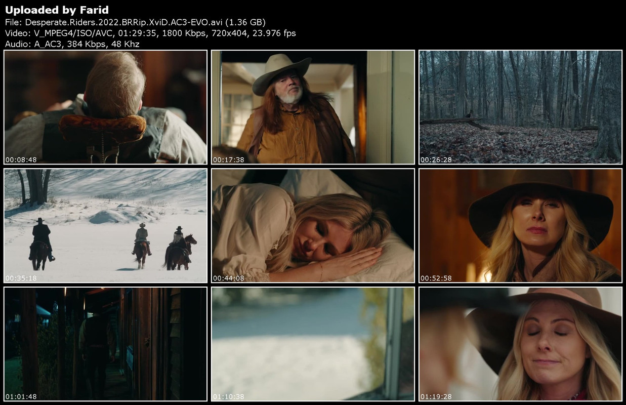 Desperate-Riders-2022-BRRip-Xvi-D-AC3-EVOTGx.jpg