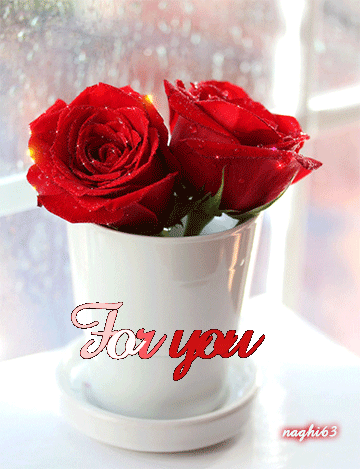 [Image: gif-animc3a9-st-valentin-109.gif]