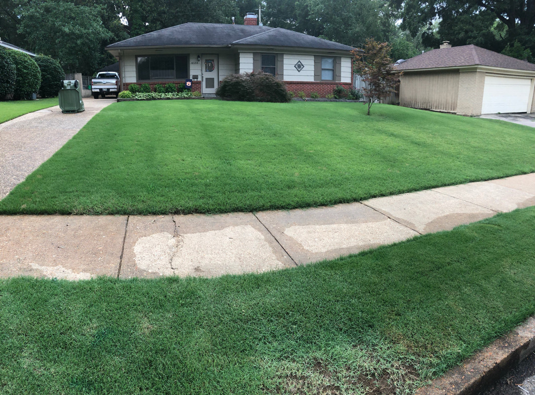 July 11th Front yard