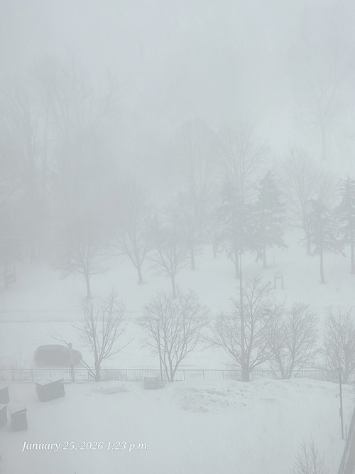 [Image: 20260125-132309.jpg]