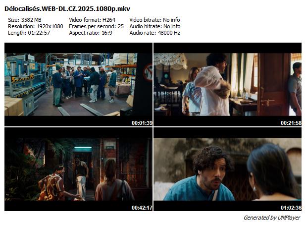 Lásko, neblázni! / Délocalisés (2025)