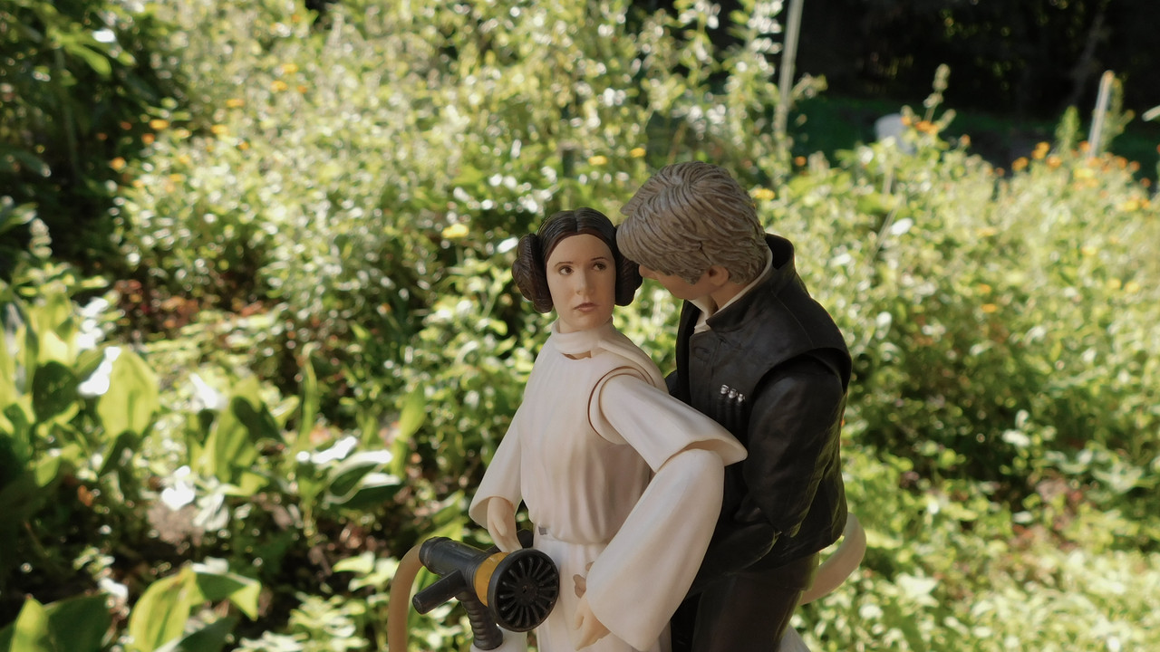 Август дачный кукольный 2023 179