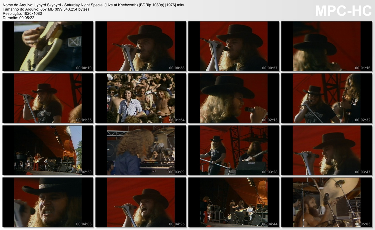 Lynyrd Skynyrd - Saturday Night Special (Live at Knebworth) (BDRip 1080p) [1976]