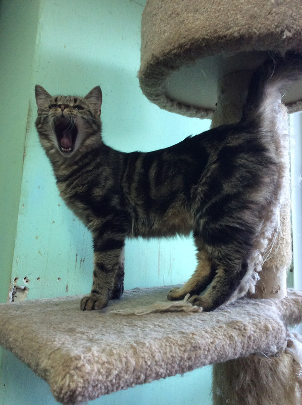 1EC3F25B-76BC-495C-8A31-D69BB387317C