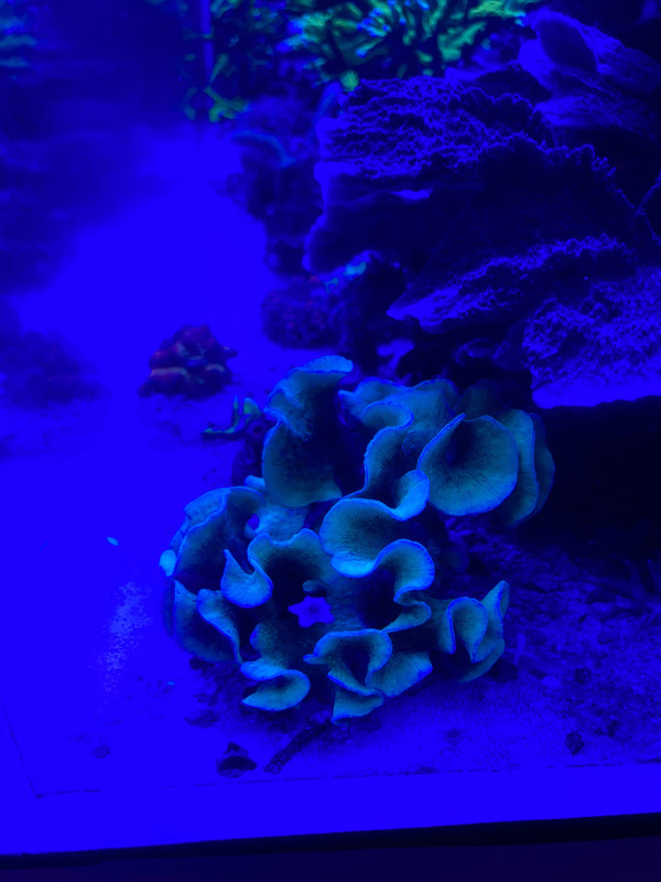 1538AEC4-0F5D-4D4A-8735-C9DBF95EB78A