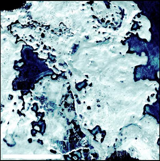 Безымянный.1