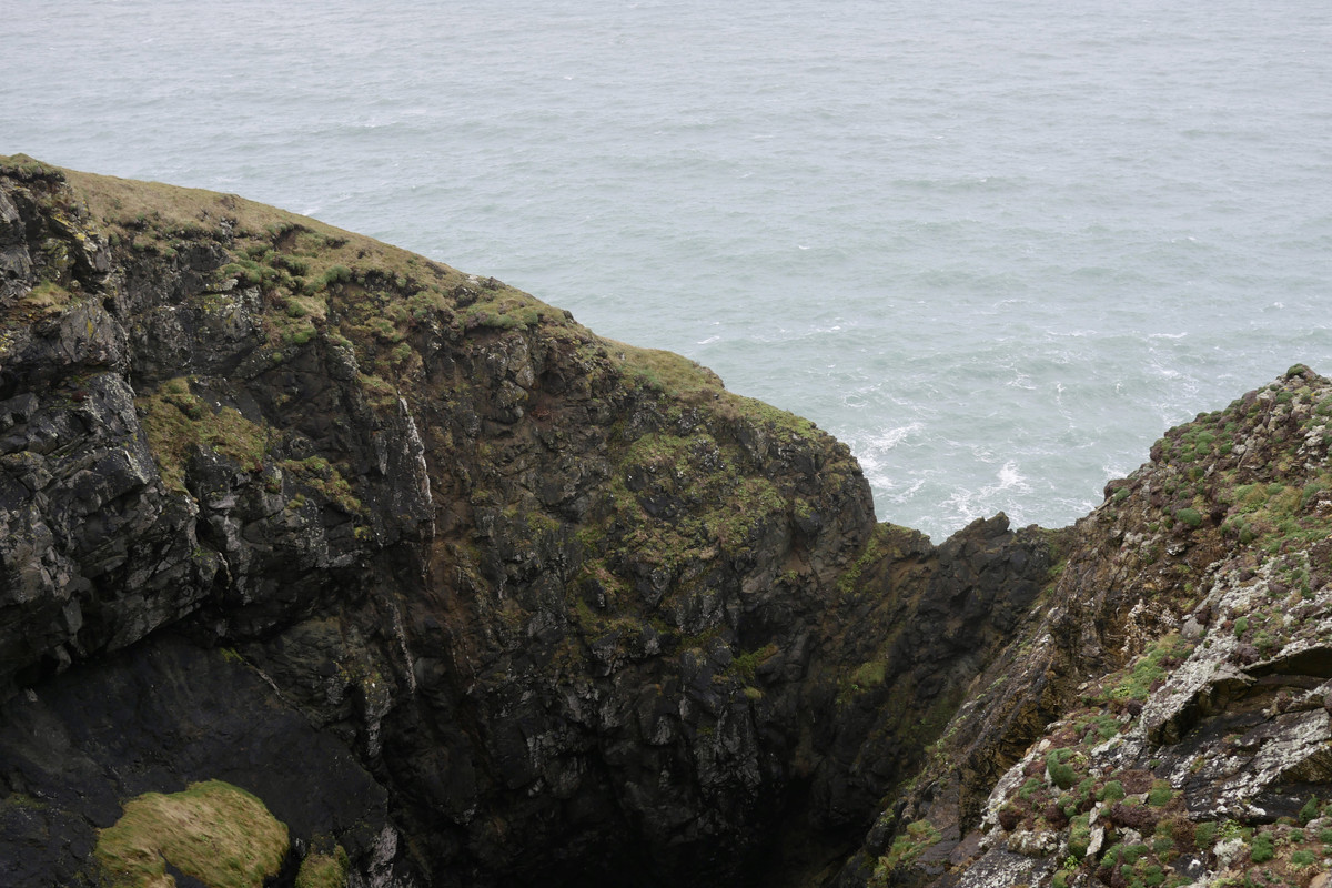 F94BF76F-2903-474B-B611-1586BD272F0E