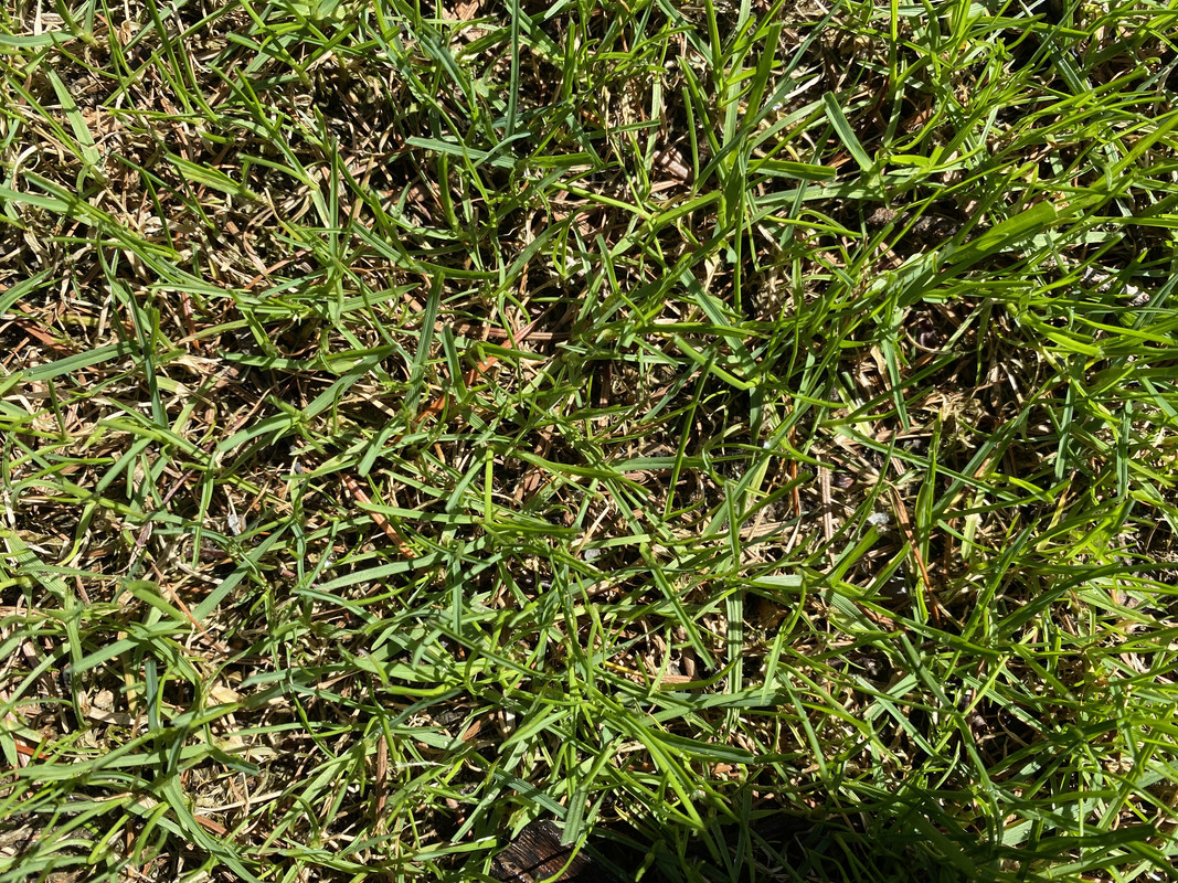 B102E9E1-53C6-4449-B97B-ADC9F9101B46