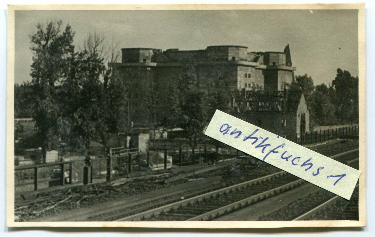 der große Zoo-Bunker in Berlin 1945