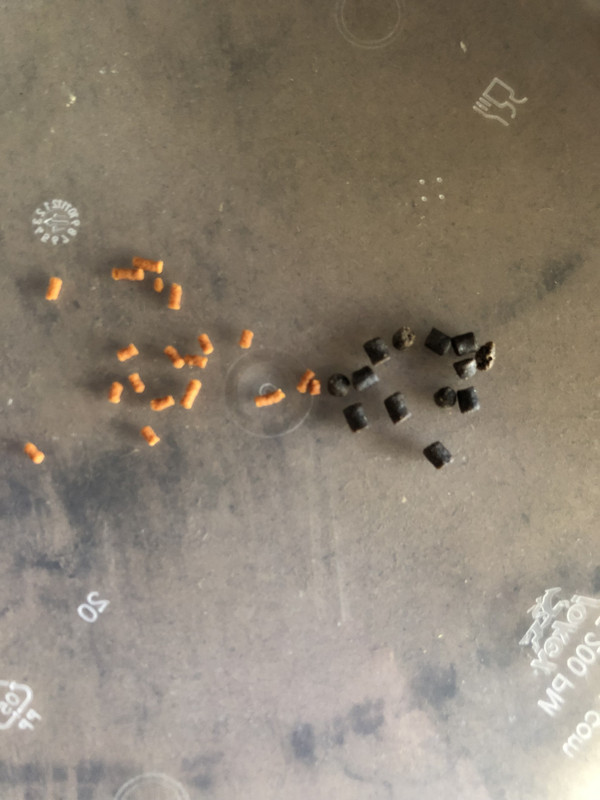 6A24E3BB-6B46-40E9-B232-82559A213768