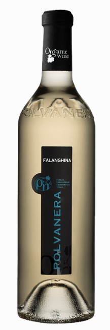 Falanghina i.G.T. Puglia biologico