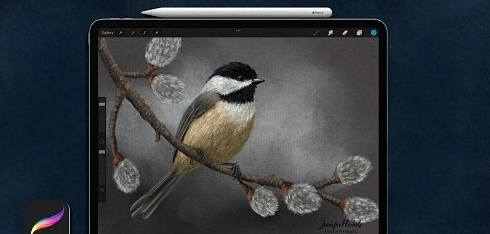 Soft Pastels in Procreate: Learn How to Draw Birds by Creating this Gorgeous Chickadee