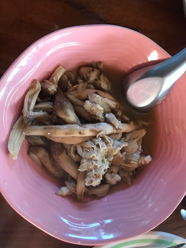 [Bild: Futtern-BDLH2.jpg]