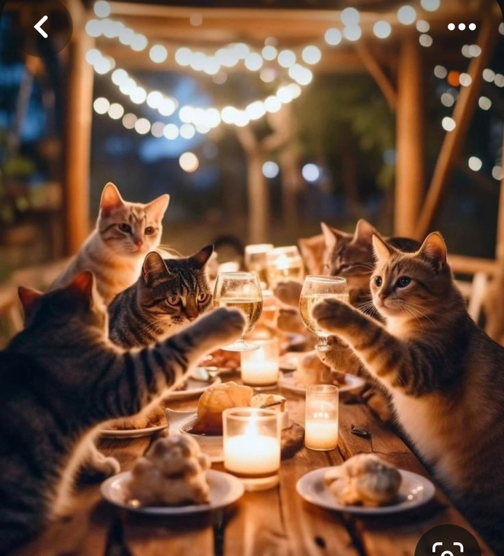 Screenshot_20231117_203111_Pinterest