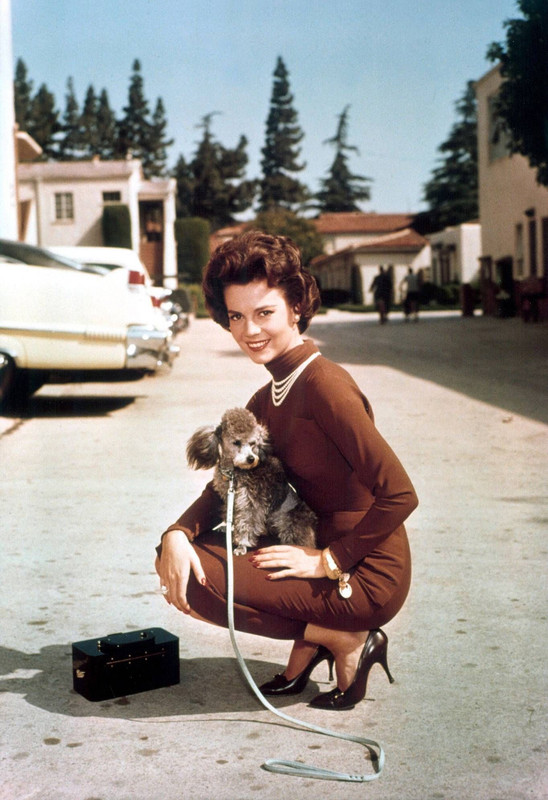 Natalie_Wood_mc22
