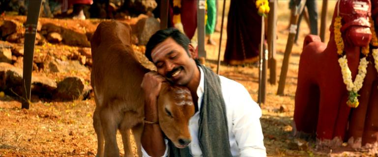 Idli KÃ dai Screenshot